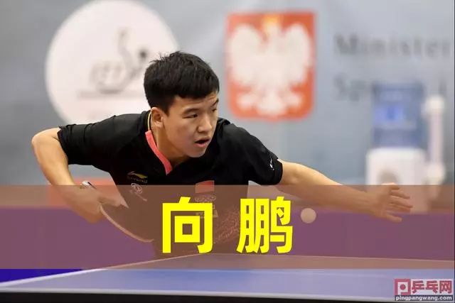 公益实践 公益实践