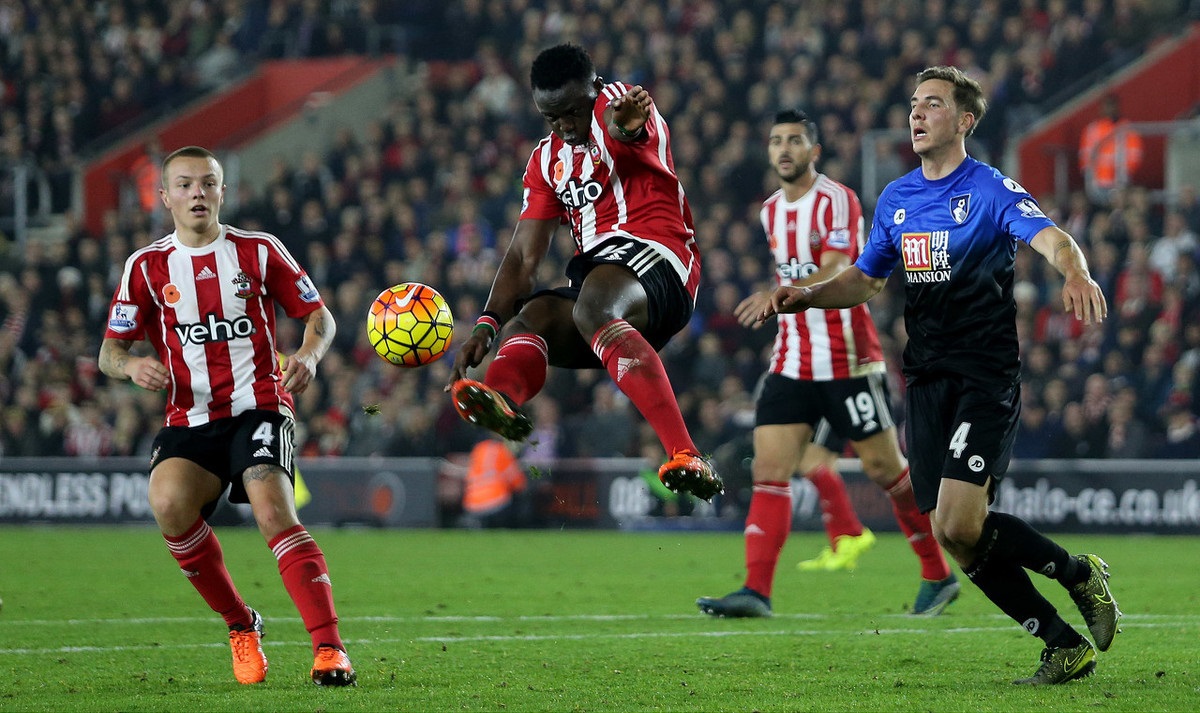 己的传奇 己的传奇